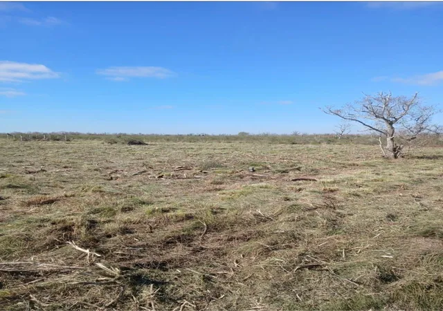 Photo 4 of Land for sale at 807 County Rd, Angleton, TX 77515 | MLS# 12969080 | Listing updated on 2026-02-16