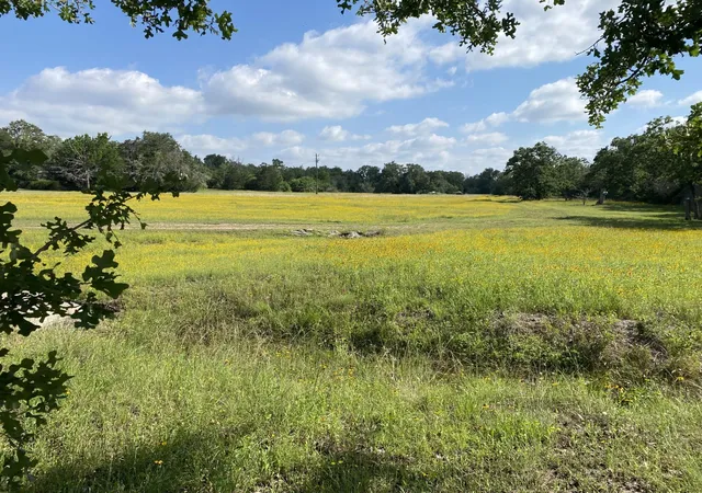 Photo 3 of Land for sale at 3685 Nixon Lake Rd, Carmine, TX 78932 | MLS# 87724566 | Listing updated on 2026-09-10