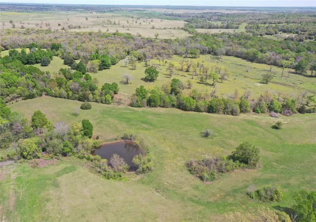 Homes for sale in Donie, TX | Tbd Hwy 164, Donie, TX 75838 | MLS# 66193558