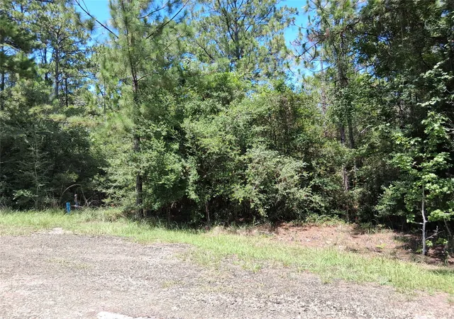14th image of 0000 Sumac Dr, Brookeland, TX 75931 | MLS# 40252575