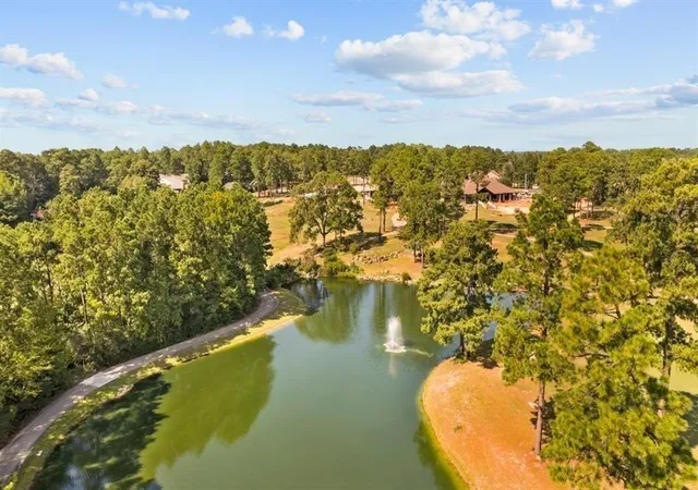 4th image of 0000 Sumac Dr, Brookeland, TX 75931 | MLS# 40252575