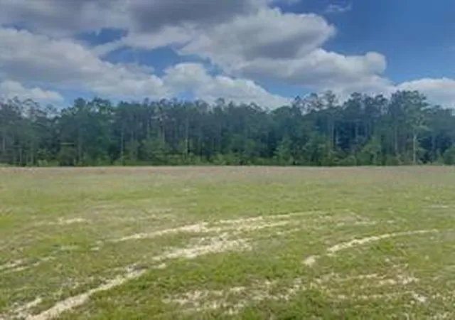 3rd image of 3051 County Road 1700, Warren, TX 77664 | MLS# 46066464