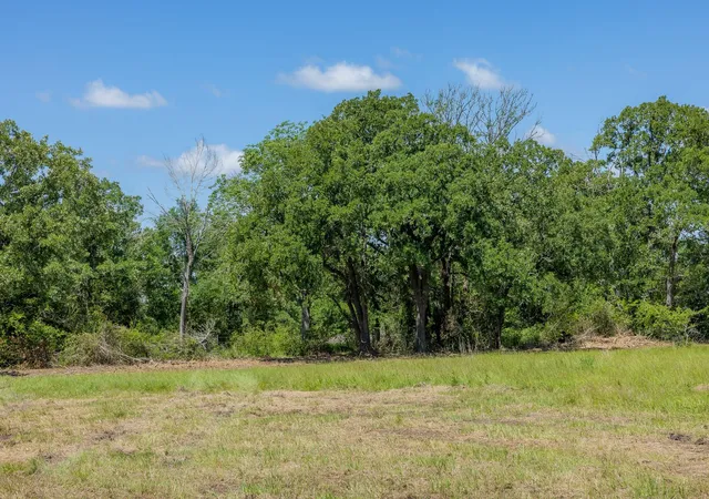 Homes for sale in Bedias, TX | 6501 Atakapan Trail, Bedias, TX 77831 | MLS# 31058261