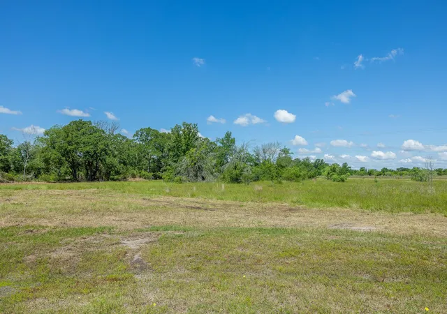 Homes for sale in Bedias, TX | 6501 Atakapan Trail, Bedias, TX 77831 | MLS# 31058261