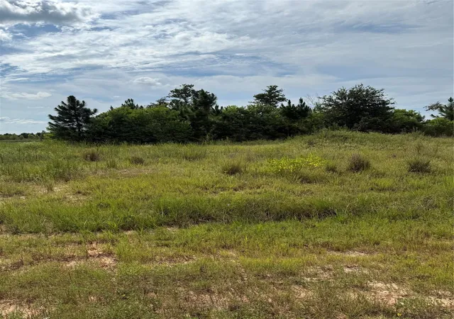 Photo 3 of Land for sale at 308 Road 5601, Cleveland, TX 77327 | MLS# 91122244 | Listing updated on 2026-05-24