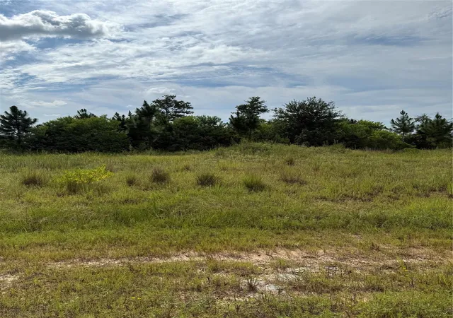 Photo 3 of Land for sale at 308 Road 5601, Cleveland, TX 77327 | MLS# 91122244 | Listing updated on 2026-05-24