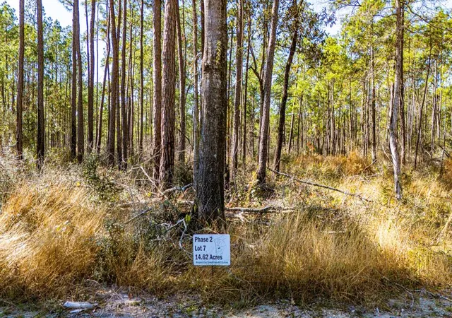 5th image of 027 King Ranch Road South Road, Onalaska, TX 77360 | MLS# 88177855
