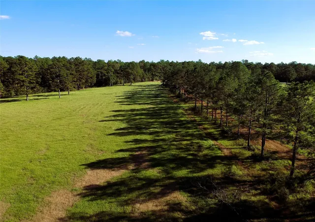 Homes for sale in Hillister, TX | Lot 18 E Lakeland Ct, Hillister, TX 77624 | MLS# 67768573