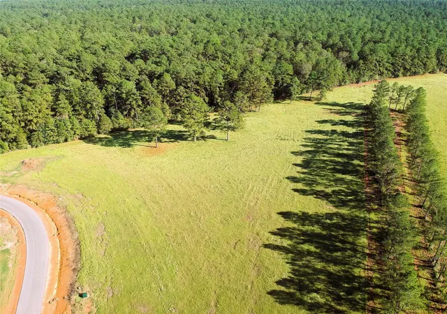 Homes for sale in Hillister, TX | Lot 18 E Lakeland Ct, Hillister, TX 77624 | MLS# 67768573
