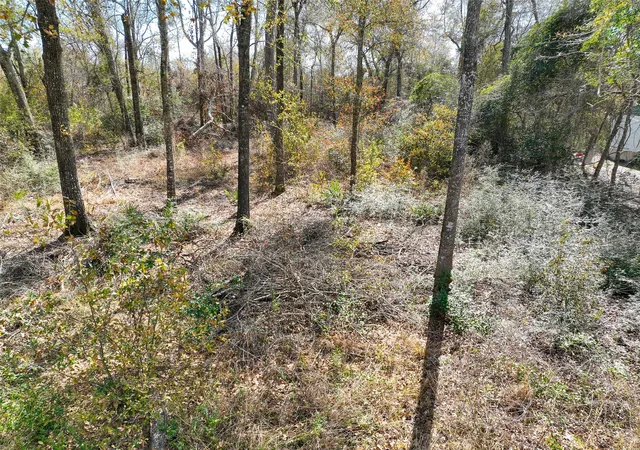 14th image of 0 Carol Ln, Splendora, TX 77372 | MLS# 50455493