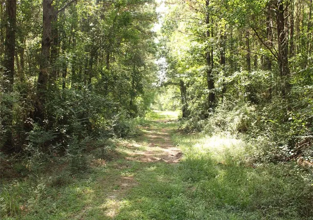 1st image of Tbd 10th St, Shepherd, TX 77371 | MLS# 51585152