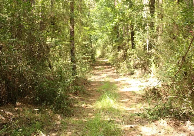 Photo 3 of Land for sale at Tbd 10th Street, Shepherd, TX 77371 | MLS# 51585152 | Listing updated on 2026-08-29