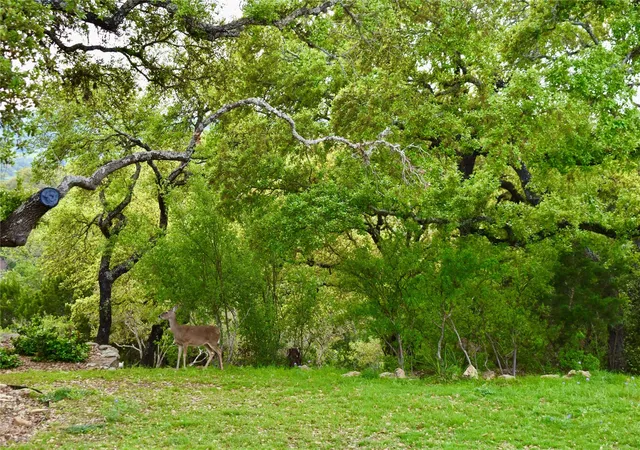 Photo 4 of Land for sale at 558 Rio Ridge Pkwy, Spring Branch, TX 78070 | MLS# 35248484 | Listing updated on 2026-09-17