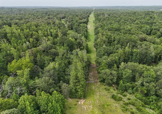 Photo 3 of Land for sale at 225 Private Rd 2026, Centerville, TX 75831 | MLS# 3583550 | Listing updated on 2026-01-07
