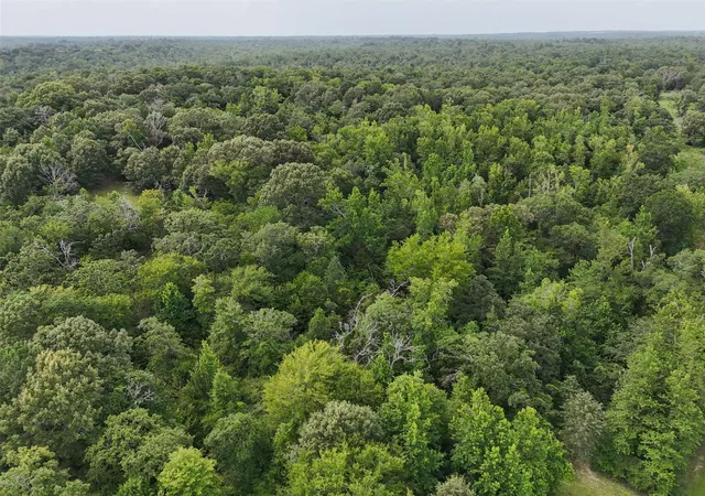 Photo 4 of Land for sale at 225 Private Rd 2026, Centerville, TX 75831 | MLS# 3583550 | Listing updated on 2026-01-07