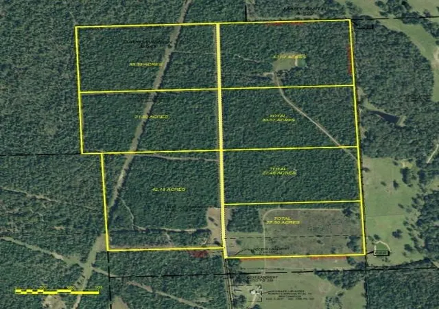 Photo 8 of Land for sale at 225 Private Rd 2026, Centerville, TX 75831 | MLS# 3583550 | Listing updated on 2026-01-07
