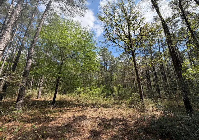 Photo 1 of Land for sale at 19 6 1 Dedication Trl, Huntsville, TX 77340 | MLS# 78477944 | Listing updated on 2026-04-01