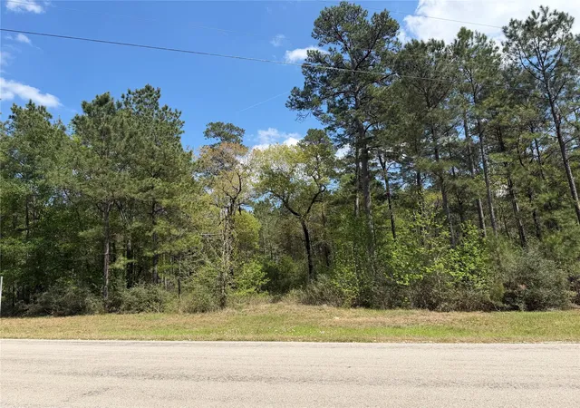 Photo 2 of Land for sale at 19 6 1 Dedication Trl, Huntsville, TX 77340 | MLS# 78477944 | Listing updated on 2026-04-01