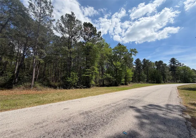 Photo 3 of Land for sale at 19 6 1 Dedication Trl, Huntsville, TX 77340 | MLS# 78477944 | Listing updated on 2026-04-01