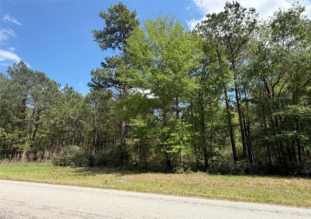 Photo 3 of Land for sale at 19-6-1 Dedication Trl, Huntsville, TX 77340 | MLS# 78477944 | Listing updated on 2026-04-01