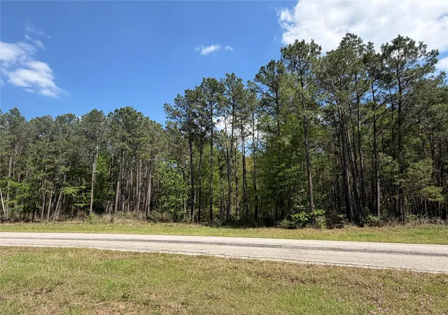 Photo 4 of Land for sale at 19-6-1 Dedication Trl, Huntsville, TX 77340 | MLS# 78477944 | Listing updated on 2026-04-01