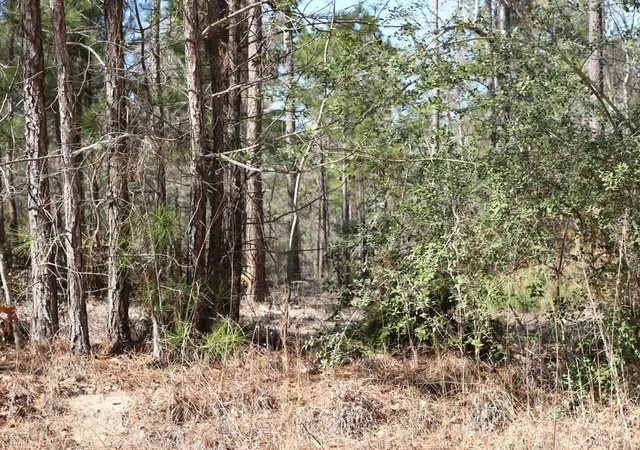 5th image of 12-1 N Hanson Road, Onalaska, TX 77360 | MLS# 97769363