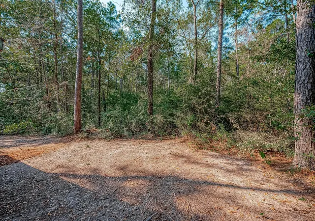 Photo 3 of Land for sale at 0 Oak Ridge St, Cleveland, TX 77328 | MLS# 96914724 | Listing updated on 2026-05-12