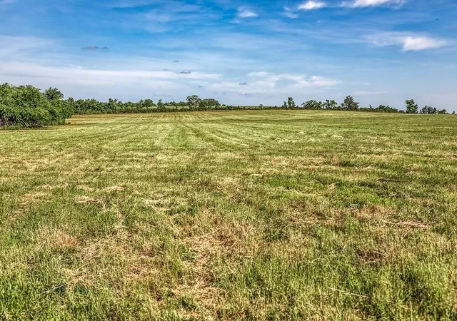 19th image of Tract 1   Asa Hoxie Road E, Brenham, TX 77833 | MLS# 53940286