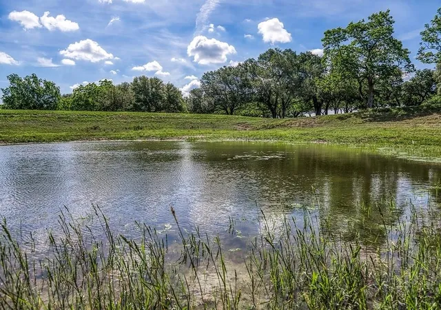 1st image of Tract 1   Asa Hoxie Road E, Brenham, TX 77833 | MLS# 53940286
