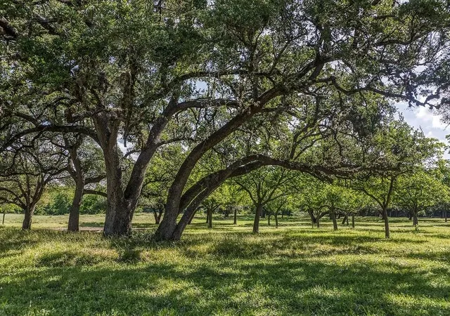 5th image of Tract 1 - Asa Hoxie Road E, Brenham, TX 77833 | MLS# 53940286