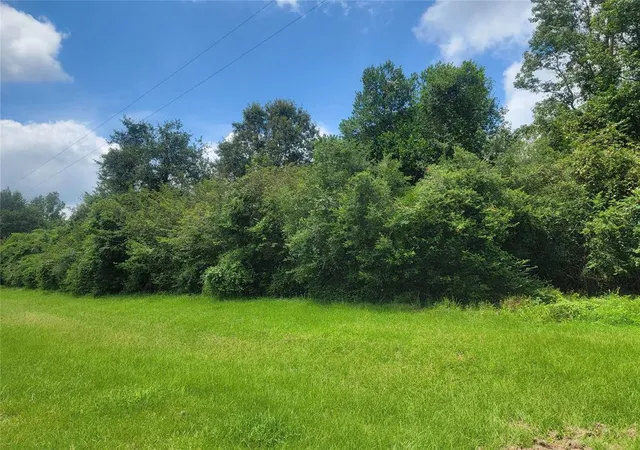 1st image of 00 Farm Pasture Rd, Shepherd, TX 77371 | MLS# 13009449