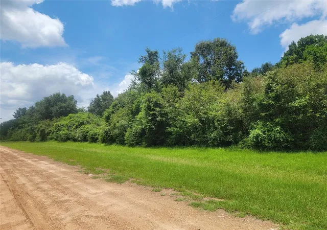2nd image of 00 Farm Pasture Rd, Shepherd, TX 77371 | MLS# 13009449