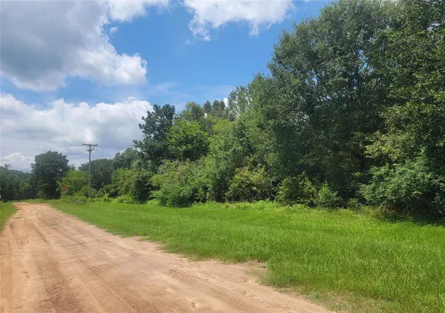 3rd image of 00 Farm Pasture Rd, Shepherd, TX 77371 | MLS# 13009449