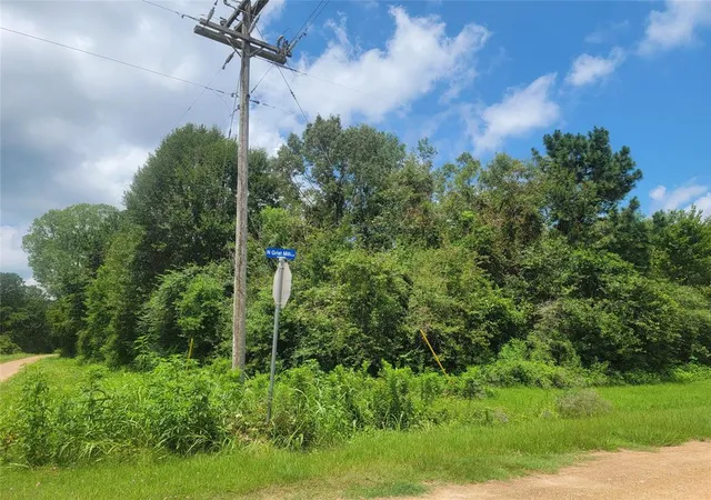 5th image of 00 Farm Pasture Rd, Shepherd, TX 77371 | MLS# 13009449