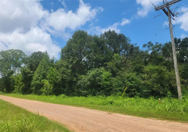 7th image of 00 Farm Pasture Rd, Shepherd, TX 77371 | MLS# 13009449