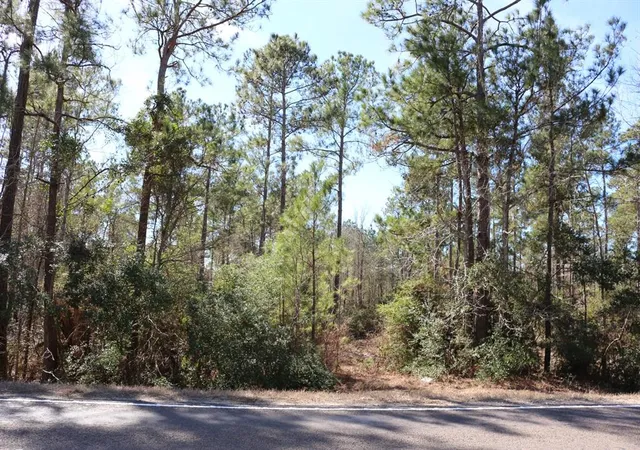 3rd image of 7-2 N Hwy 356, Onalaska, TX 77360 | MLS# 17645092
