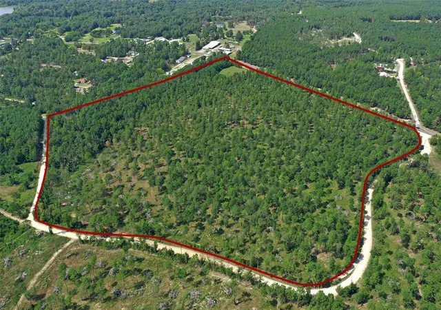 50th image of 7 2 N Hwy 356, Onalaska, TX 77360 | MLS# 17645092