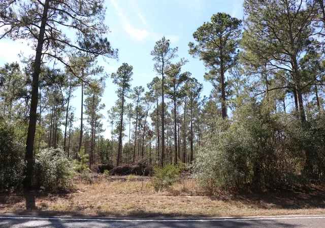 5th image of 7-2 N Hwy 356, Onalaska, TX 77360 | MLS# 17645092