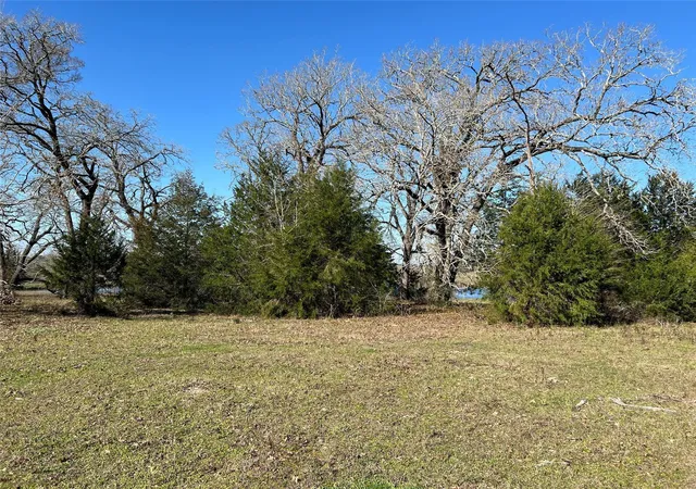 Photo 2 of Land for sale at 19285 Moriarty Rd, Richards, TX 77873 | MLS# 91322447 | Listing updated on 2026-07-15