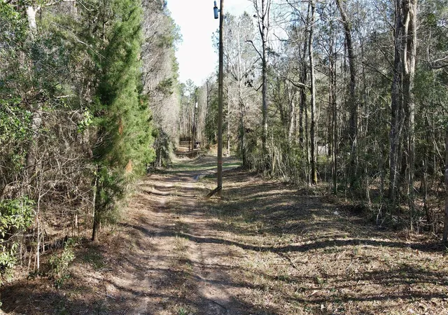 11th image of 000 Fm 2798, Livingston, TX 77351 | MLS# 37861623