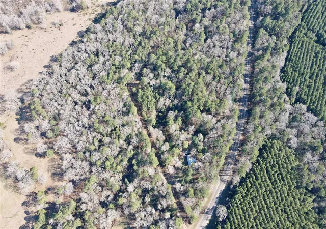 3rd image of 000 Fm 2798, Livingston, TX 77351 | MLS# 37861623