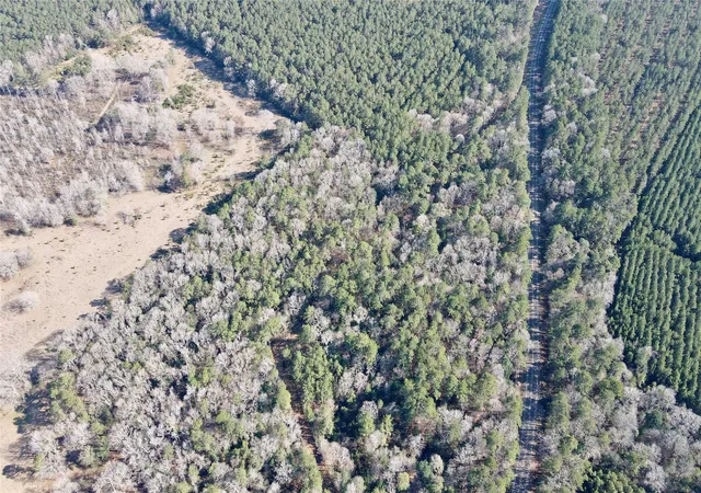 4th image of 000 Fm 2798, Livingston, TX 77351 | MLS# 37861623