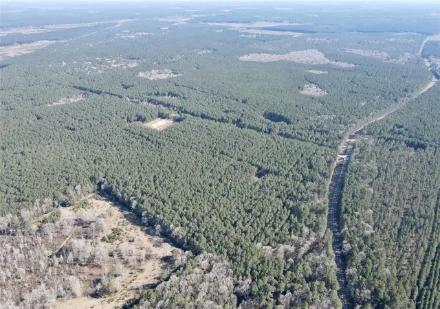5th image of 000 Fm 2798, Livingston, TX 77351 | MLS# 37861623