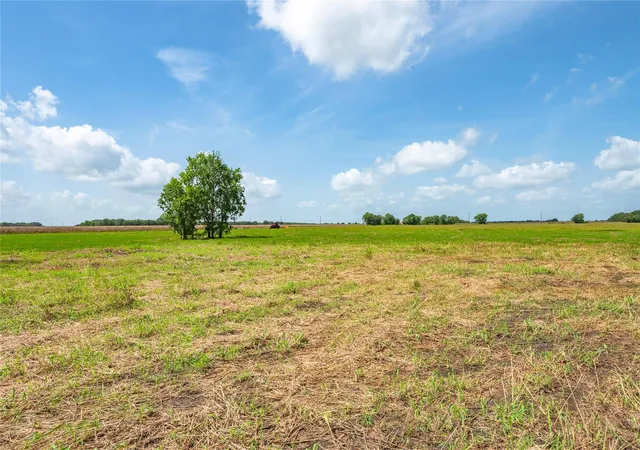 5th image of 5207 Randon School Rd, Rosenberg, TX 77471 | MLS# 63842613