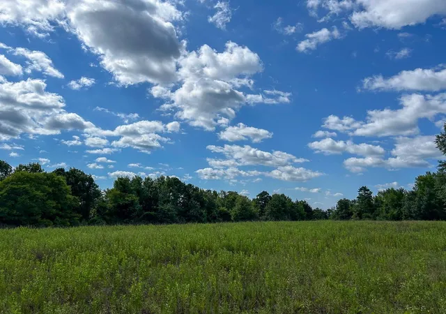 1st image of Tbd County Road 1804, Rusk, TX 75785 | MLS# 18476264