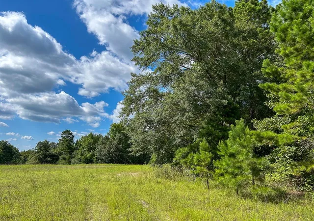 2nd image of Tbd County Road 1804, Rusk, TX 75785 | MLS# 18476264