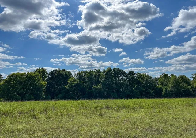 3rd image of Tbd County Road 1804, Rusk, TX 75785 | MLS# 18476264