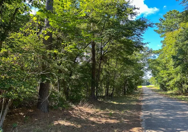 4th image of Tbd County Road 1804, Rusk, TX 75785 | MLS# 18476264