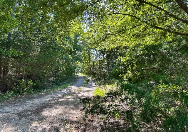 5th image of Tbd County Road 1804, Rusk, TX 75785 | MLS# 18476264