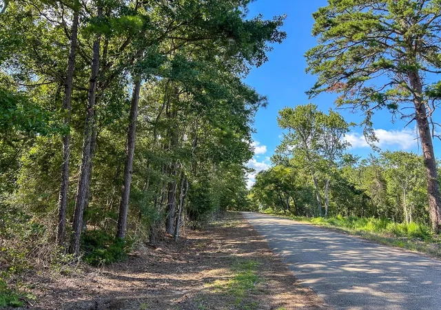 7th image of Tbd County Road 1804, Rusk, TX 75785 | MLS# 18476264